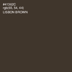 #41362C - Lisbon Brown Color Image